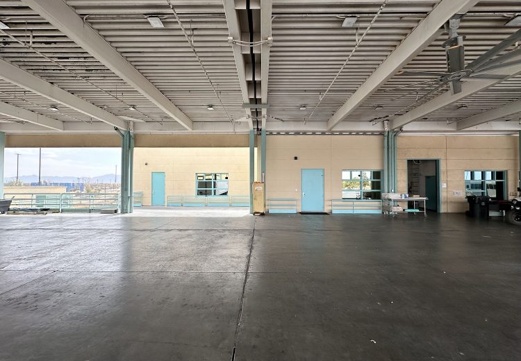 IMG_6866-1-qw2n79z5dts80ukij38quj9s9mg0m04sc1nnp7rhe8